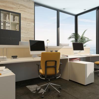 Dicas para organizar seu ambiente de trabalho de forma funcional